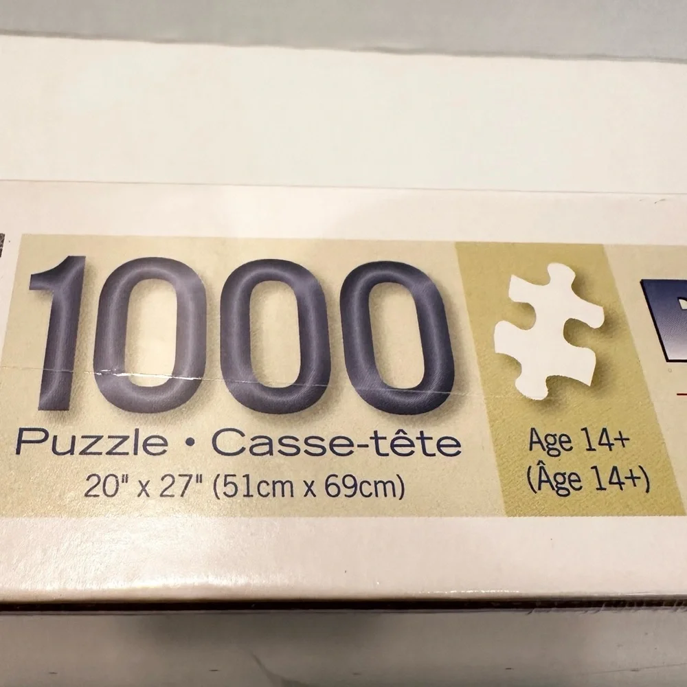 Bits and Pieces Snowman 1000 Piece Jigsaw Puzzles Liz Goodrick Dillon 20